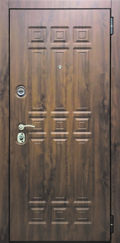 фото двери спереди